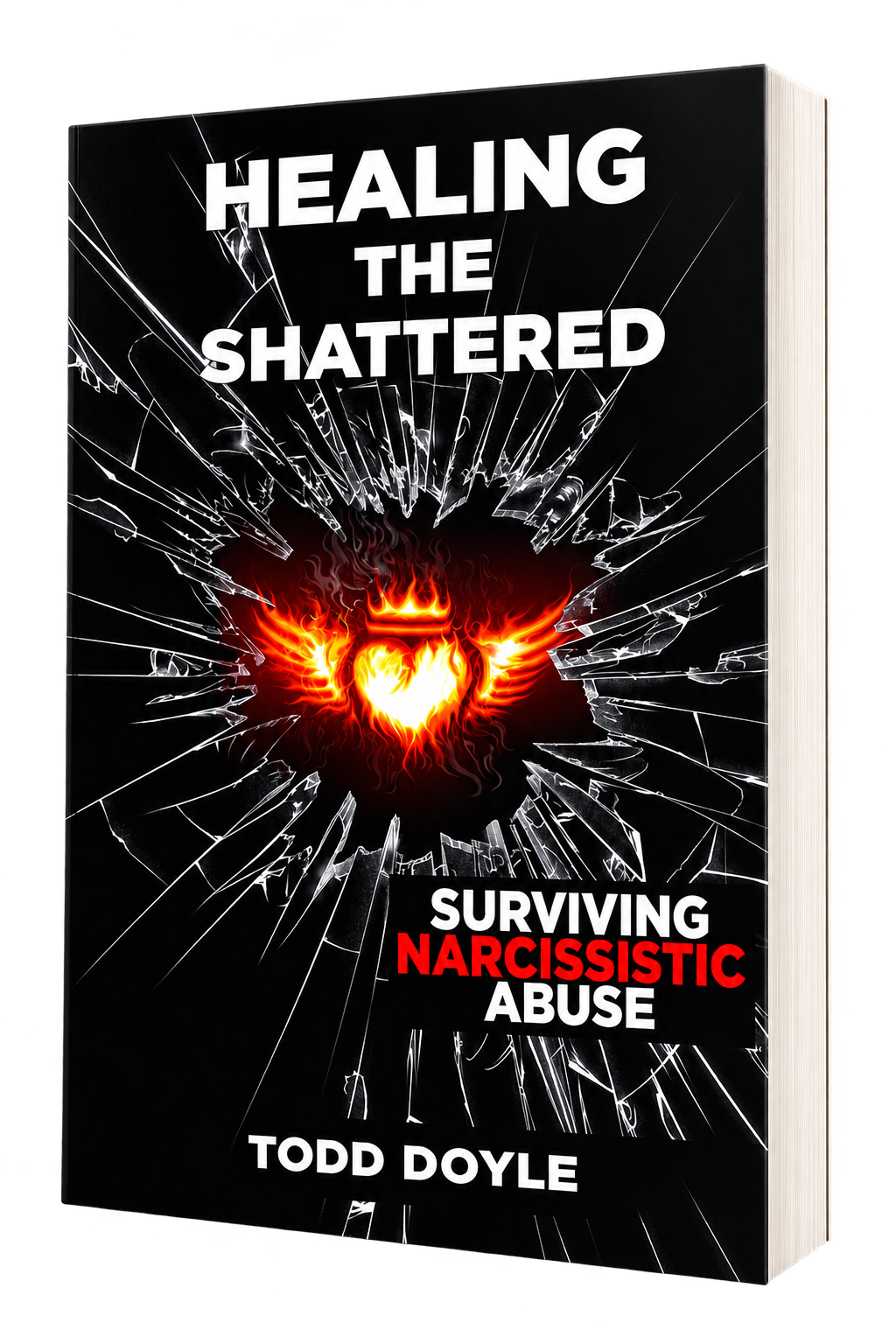 Healing the Shattered: Surviving Narcissistic Abuse paperback by Todd Doyle